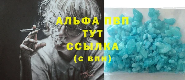 молекула духа Волосово
