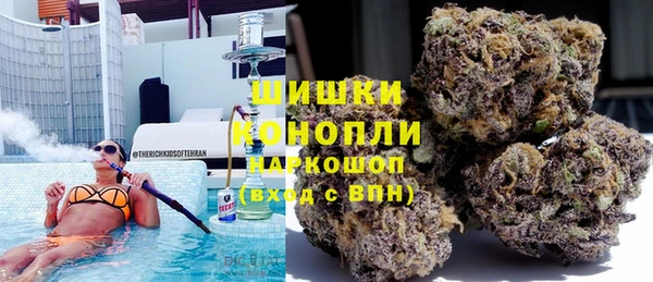apvp Верея