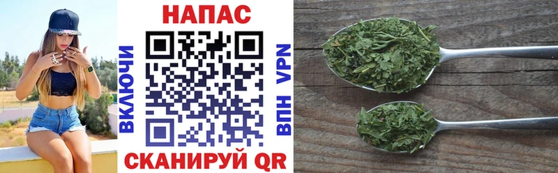 OMG ТОР  Альметьевск  Каннабис OG Kush 